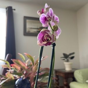 Meet your Posher, Heidi